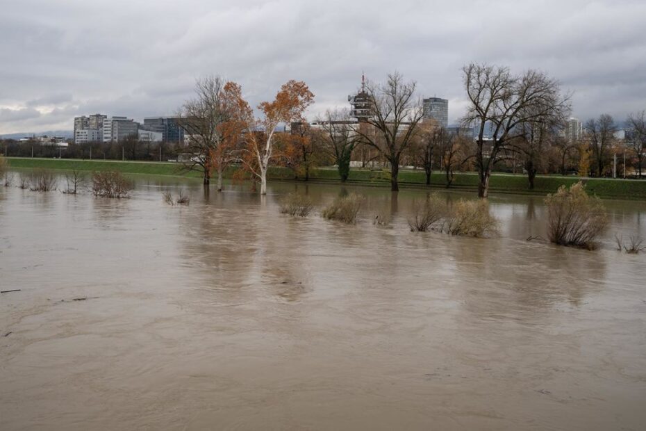 Sava izašla iz korita nakon naglog rasta vodostaja