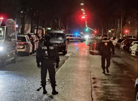 Tragedija: Dvadesetogodišnjakinja pregazila državljanina BiH