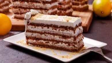 Velika torta od jedne smjese za kore i fil