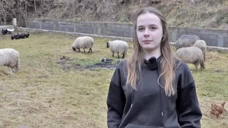 Ajla je poželjela jednu ovcu, a dobila cijelo stado: Dobri ljudi ostvarili san 14-godišnje djevojke