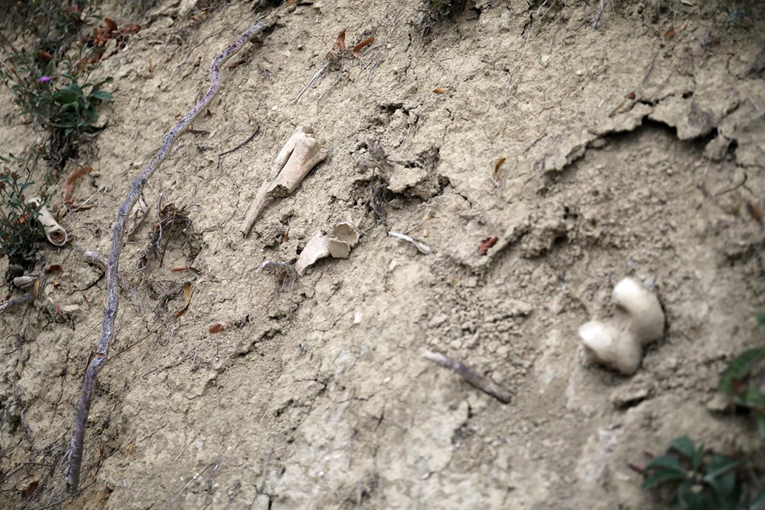 Mostarac kupio zemljište. Počeo kopati pa otkrio da je tamo bilo groblje