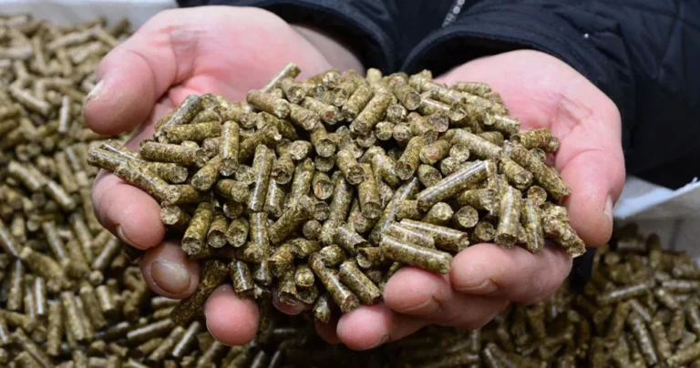 OGROMNA POTRAŽNJA  PADAJU CIJENE: POČINJE VELIKA AKCIJA NA PELET I BRIKET